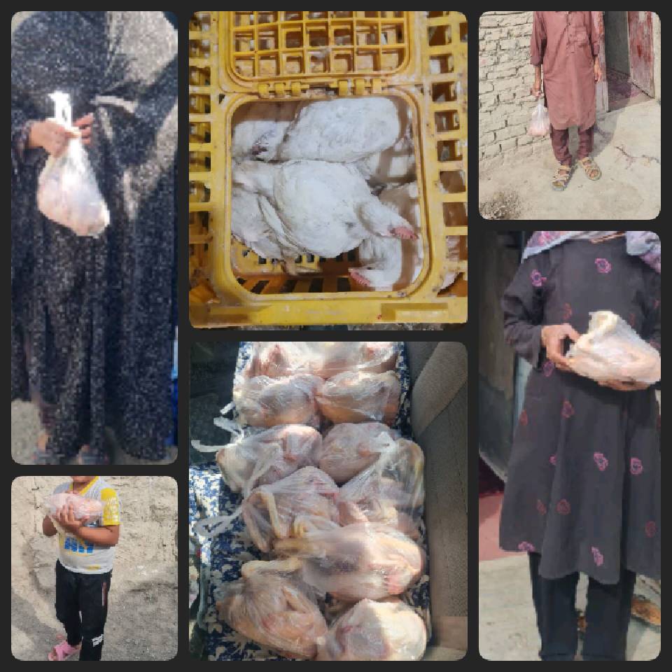 گزارش طرح بلاگردون آبان 1401