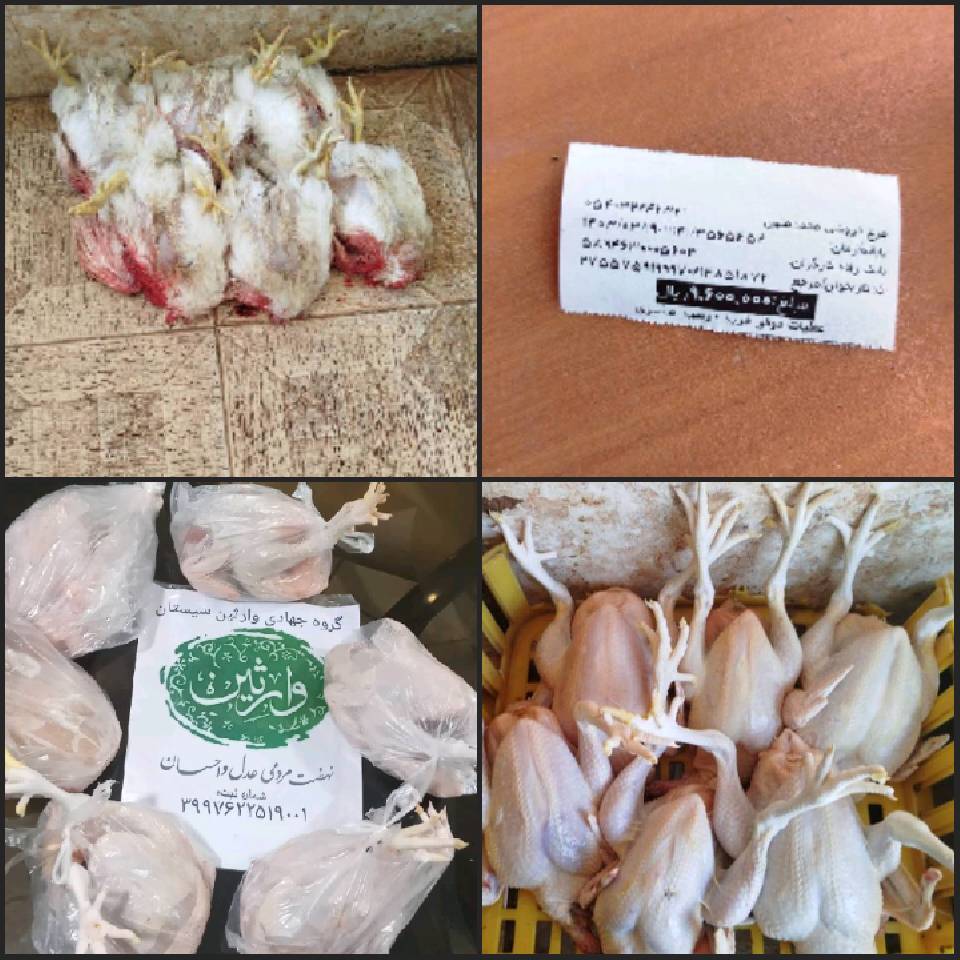 قربانی مشارکتی مرحله 24 در 19خرداد ماه 1403