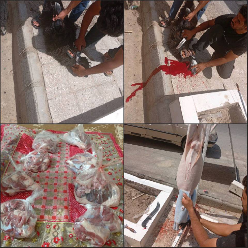 نحر67 «قربانی مشارکتی»