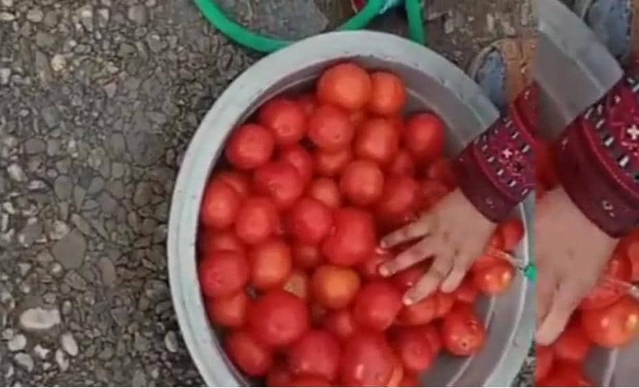 توزیع ۱۵۰ پرس غدای گرم 