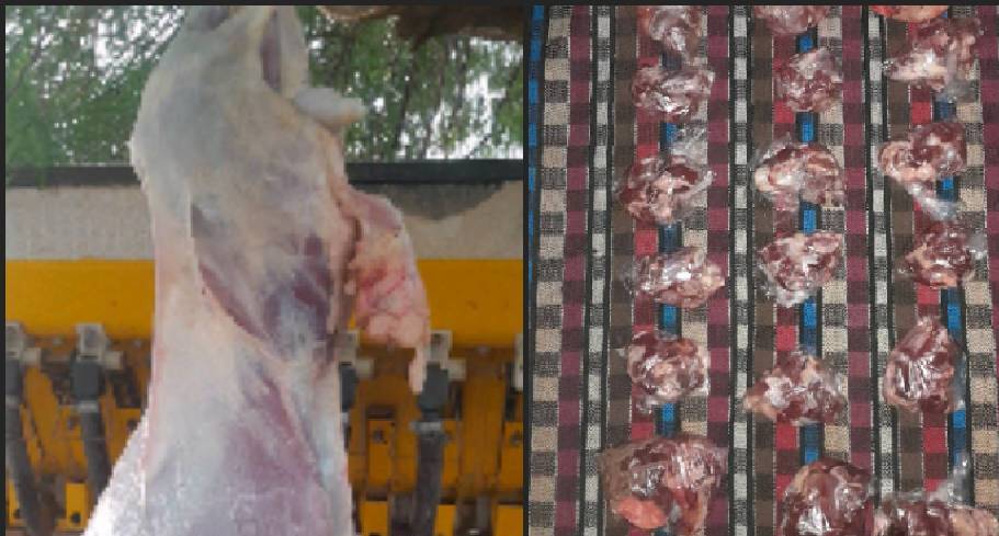 #نحر71 «قربانی مشارکتی»  - گره جهادی وارثین