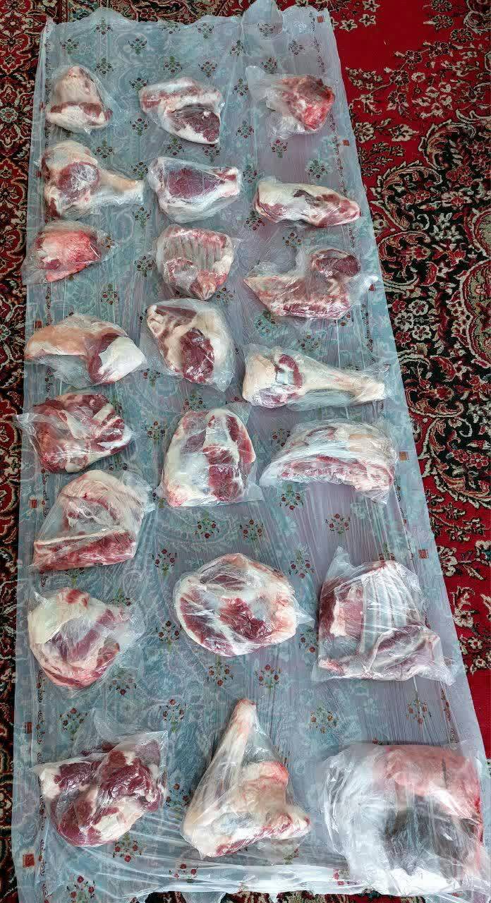 نیکی 560 السلام علیک یا بقیه الله