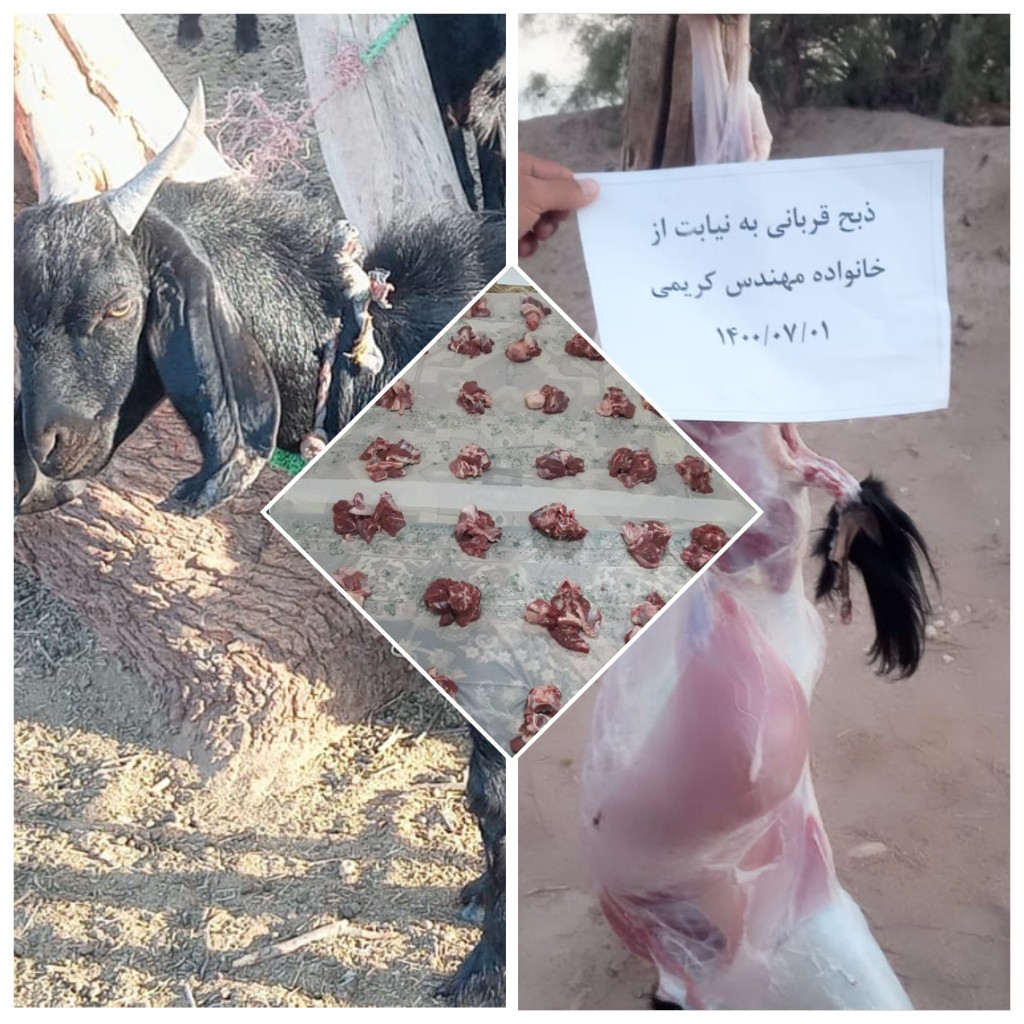 قربانی گوسفند 