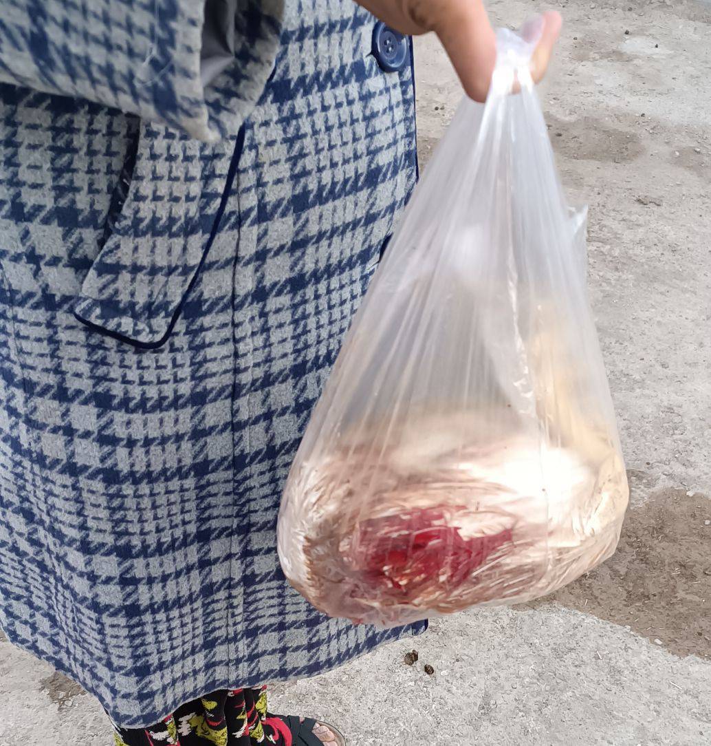نحر41 «قربانی مشارکتی»