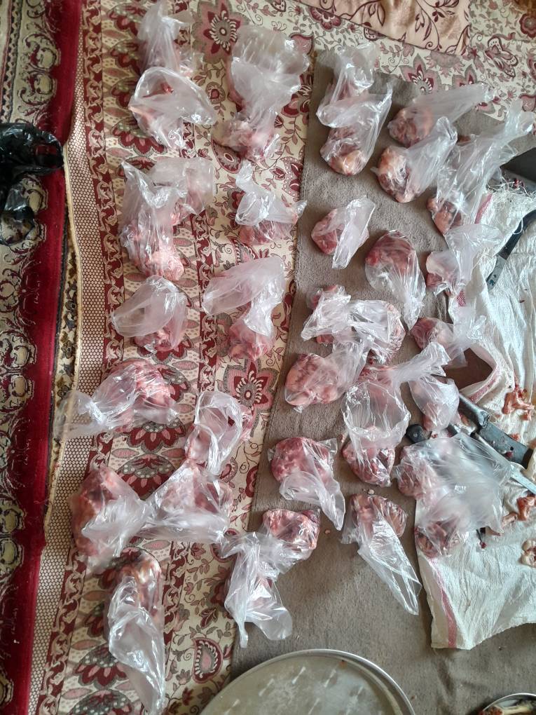 نحر87 قربانی مشارکتی - گره جهادی وارثین