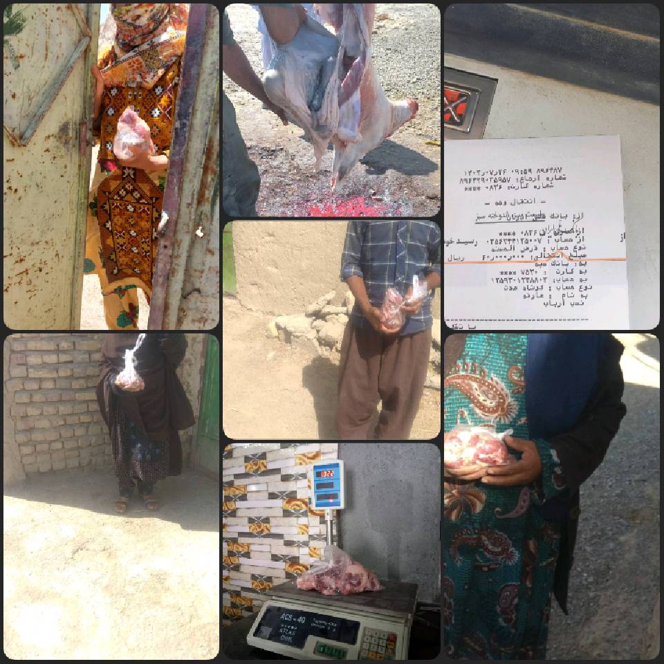 گزارش نحر 12