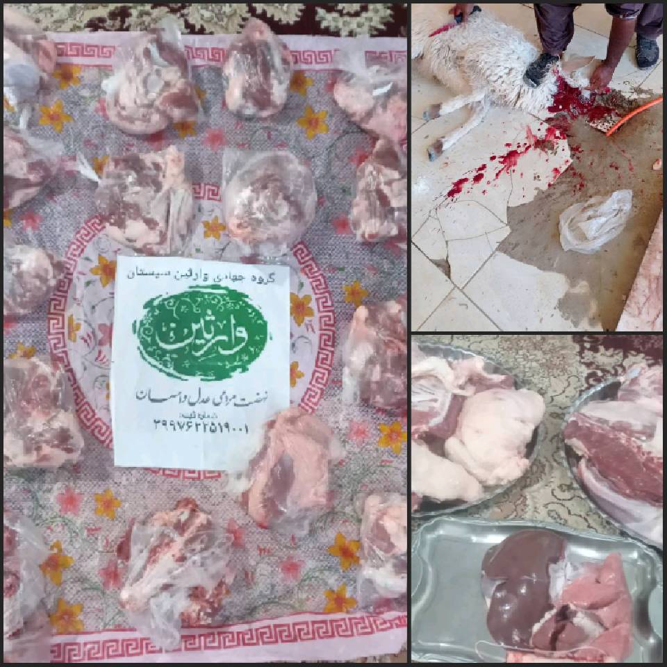 نحر49 «قربانی مشارکتی»