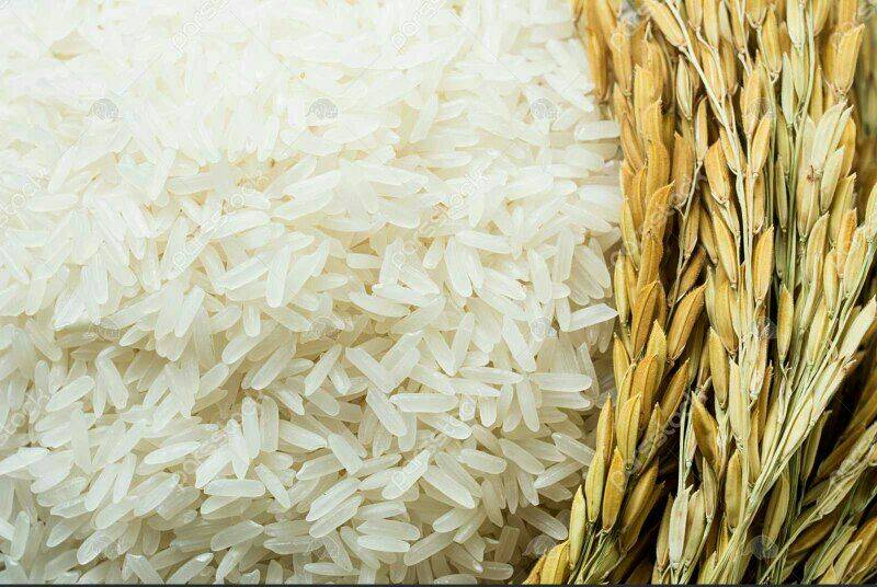 تامین مایحتاج