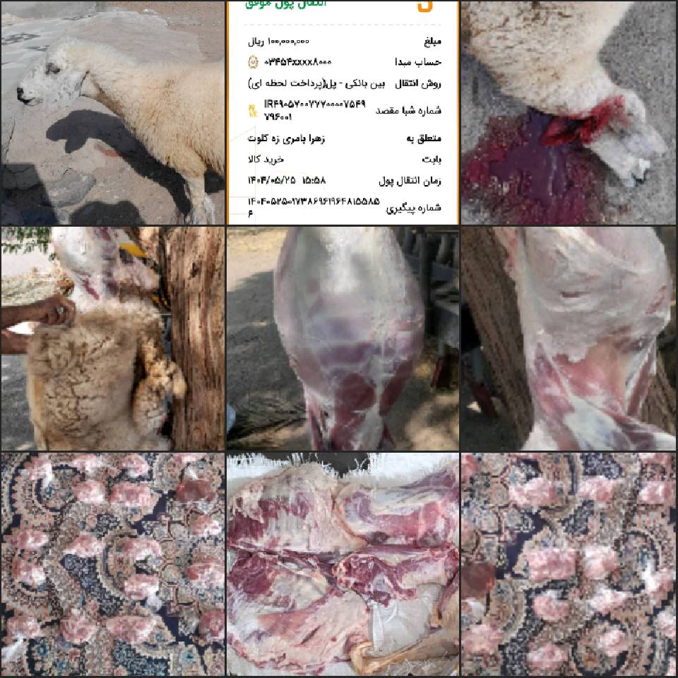 نحر66 قربانی مشارکتی