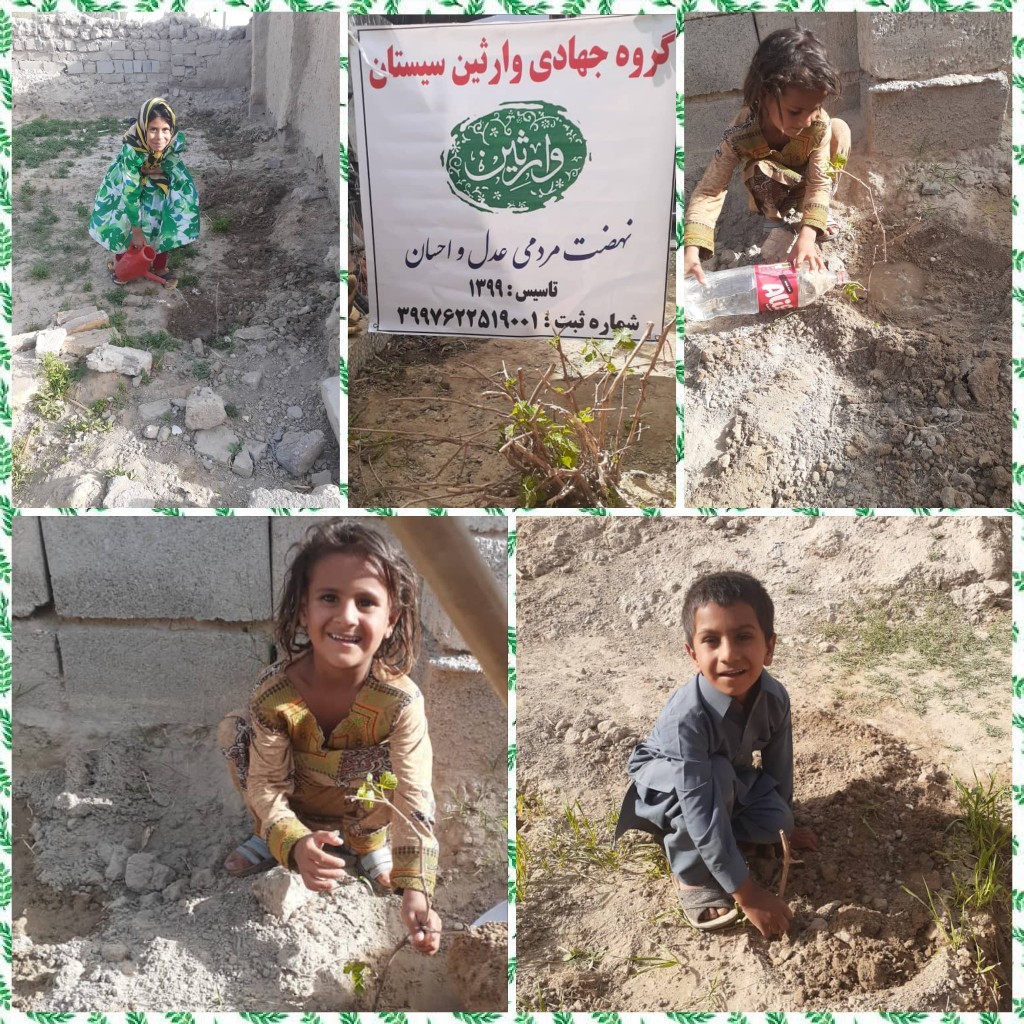 کاشت 40 اصله درخت تاک
