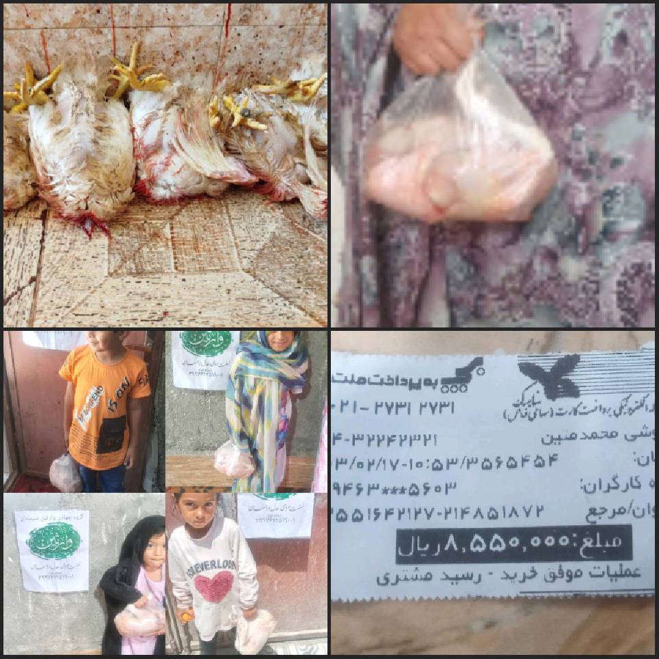گزارش نحر 22