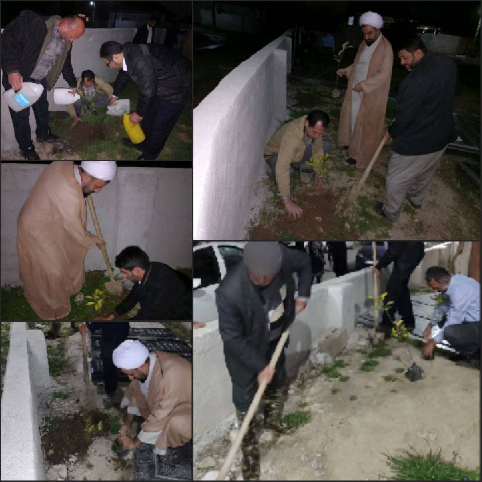 گزارش کاشت نهال نارنج به نیت گذشتگان، روستای قادیکلا استان مازندران