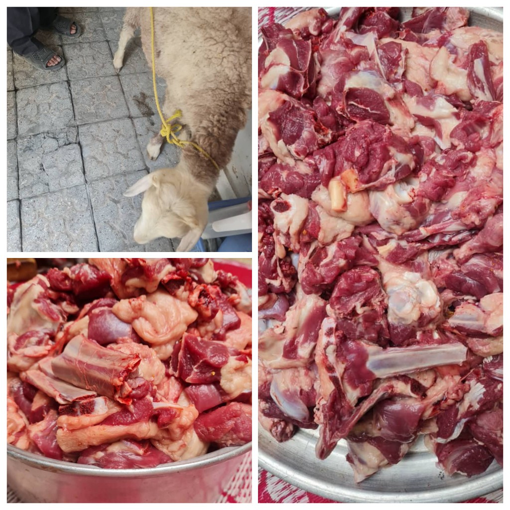 گزارش پویش ذبیح