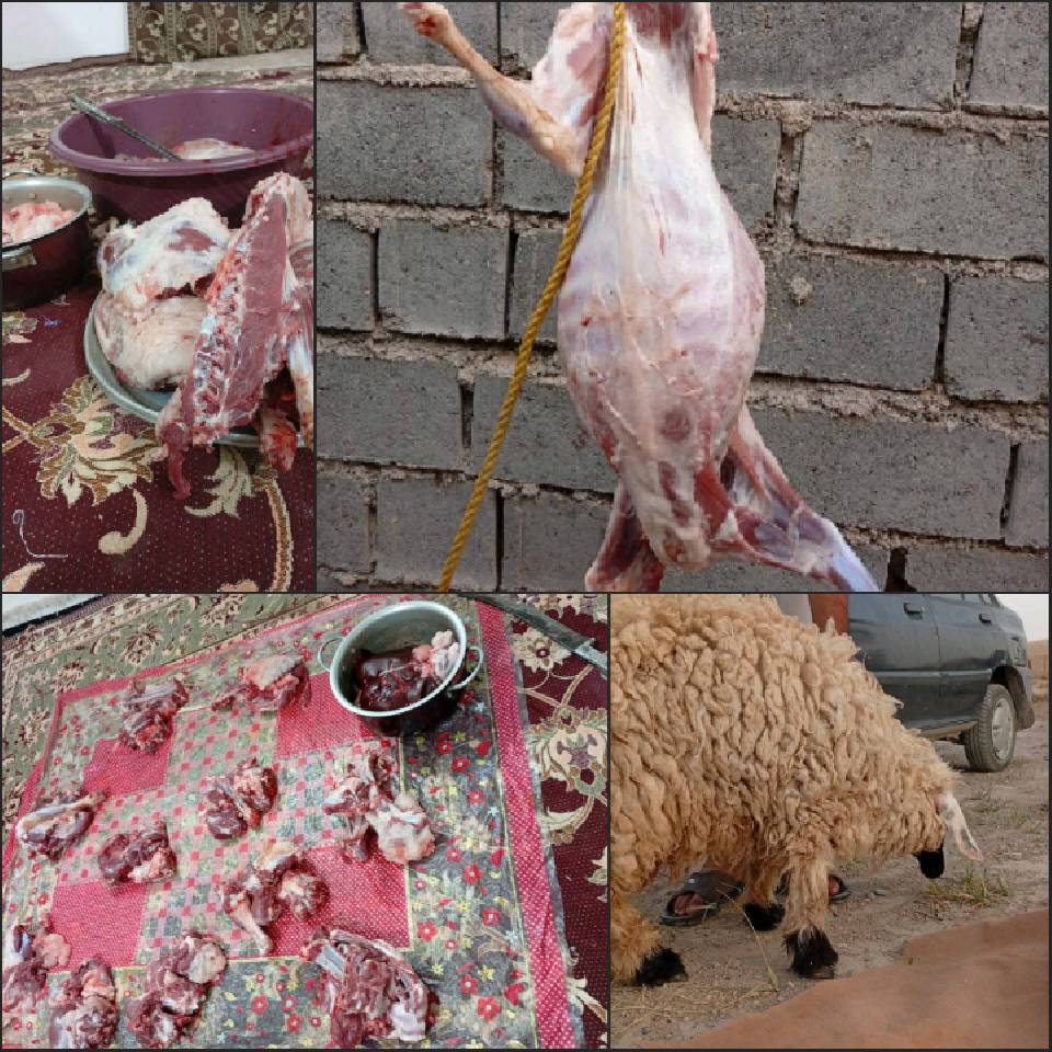 نحر60 «قربانی مشارکتی»