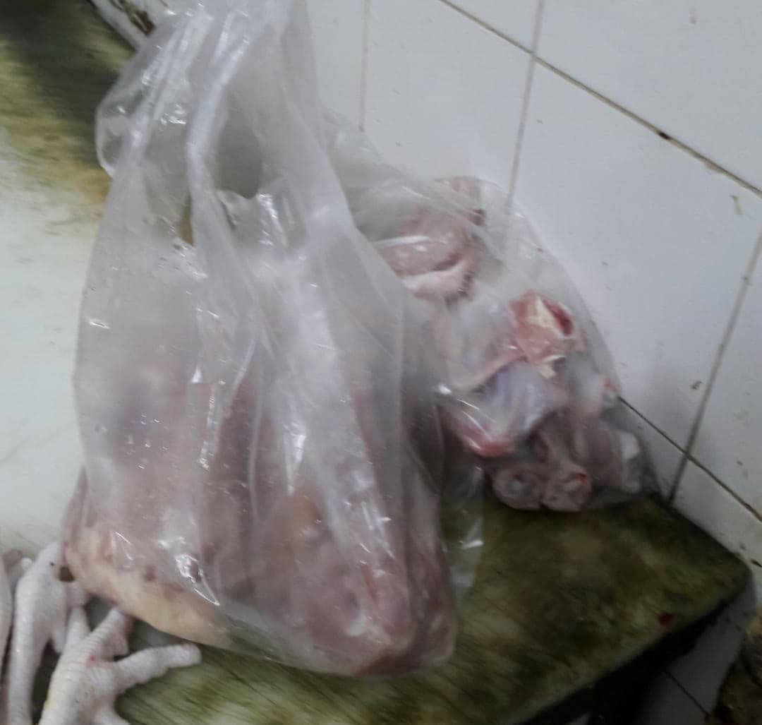 قربانی مرغ