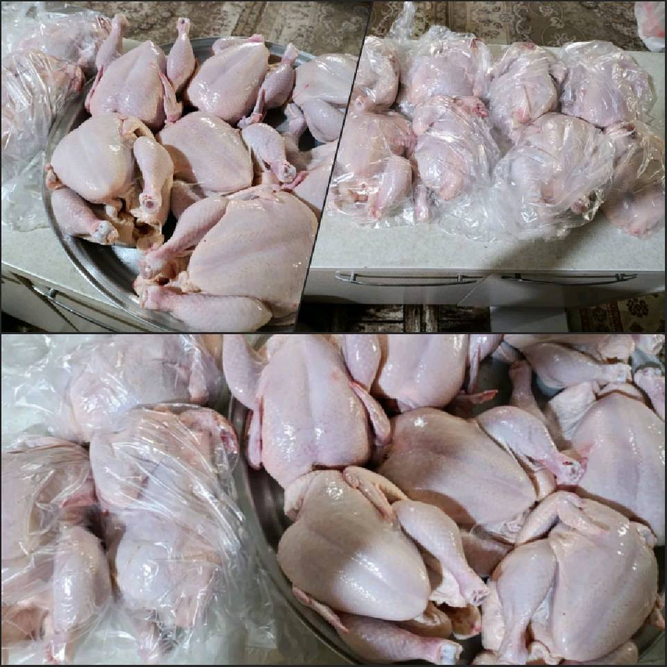 نیکی 738 به یاد شهید بروجردی