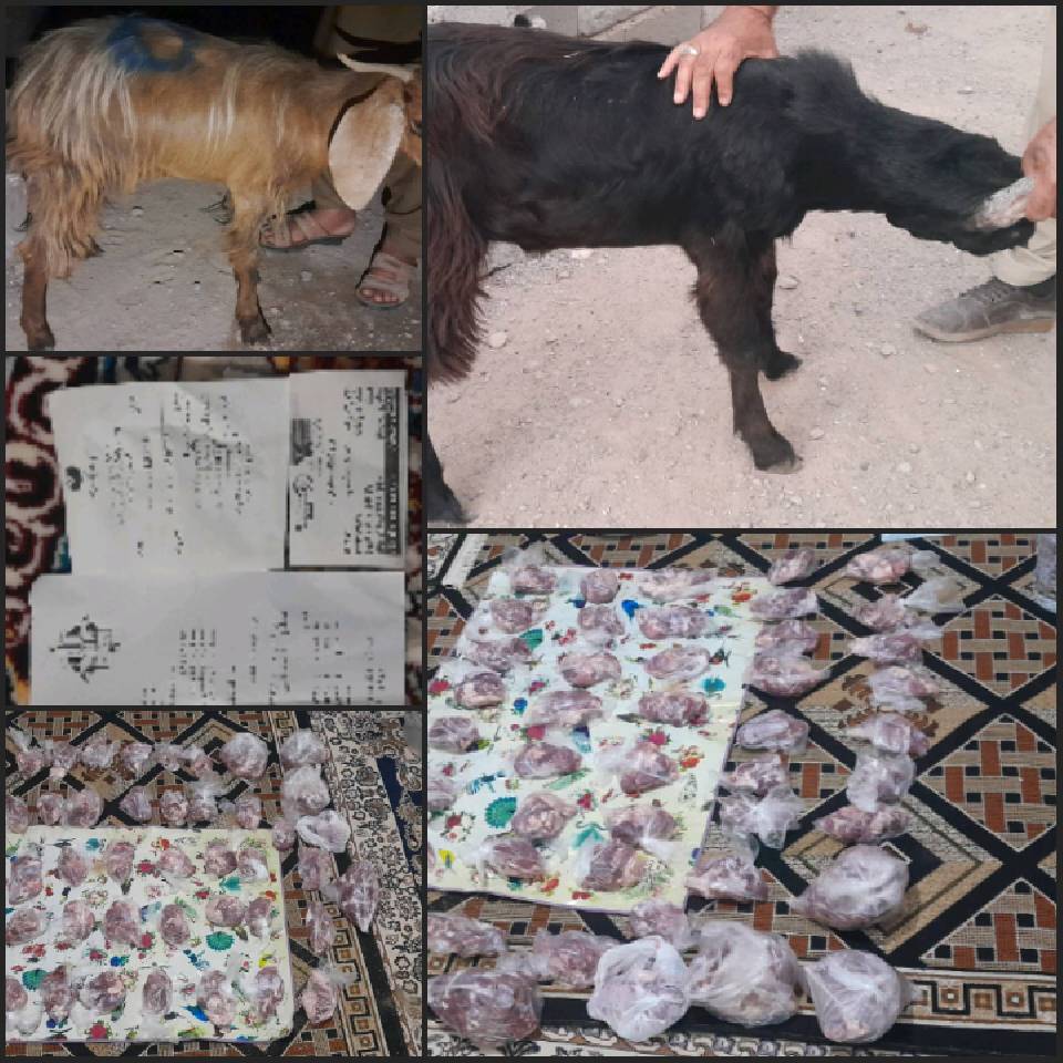 نحر 34 «قربانی مشارکتی و ماهانه»