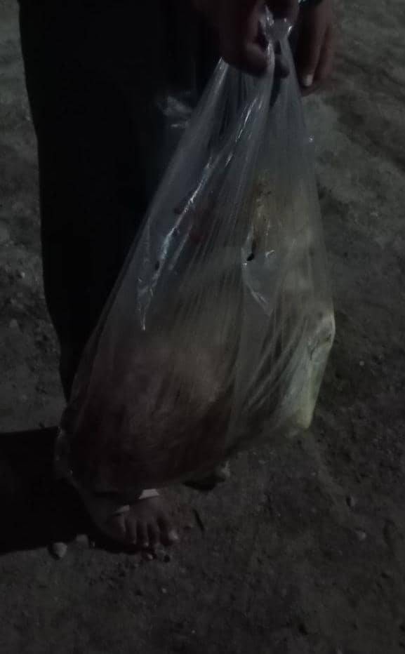 نحر55 «قربانی مشارکتی»