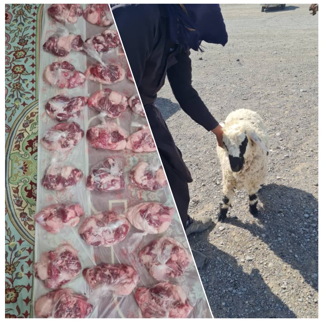 خرید و ذبح یک راس گوسفند 
