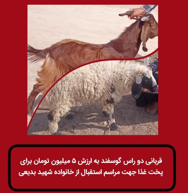 قربانی دو راس گوسفند 