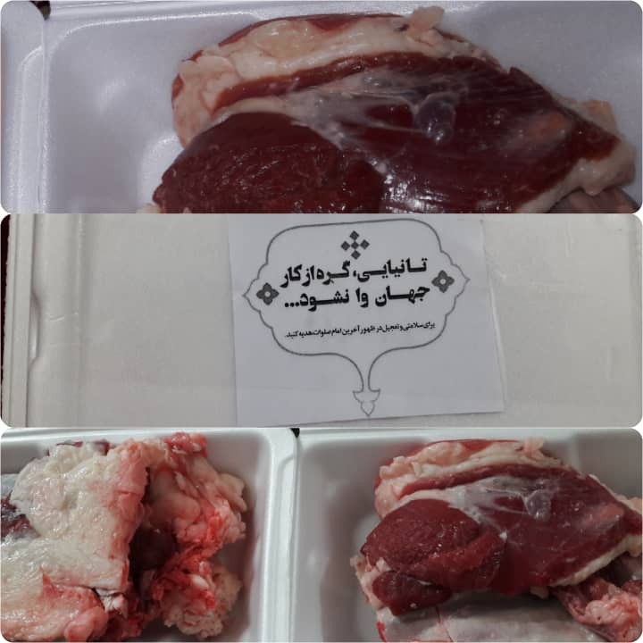 قربانی در روز ولادت امام زمان (عج)