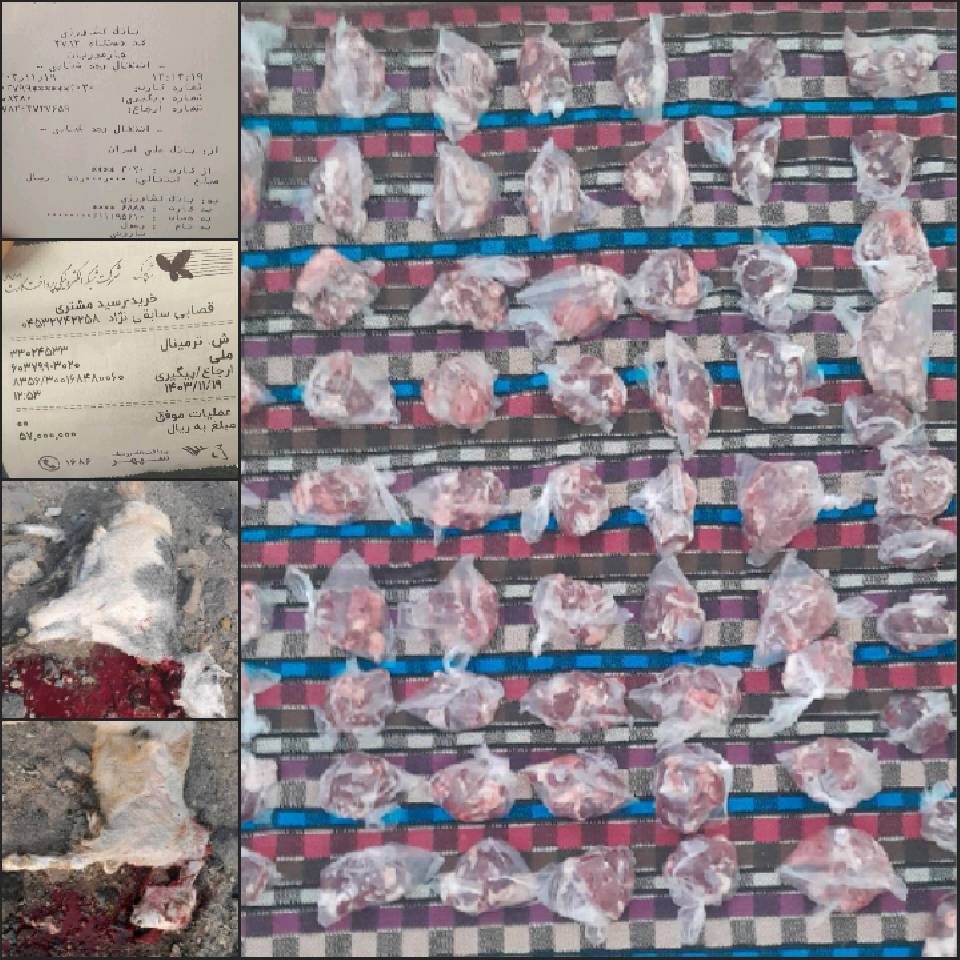 نحر 42 «قربانی مشارکتی»
