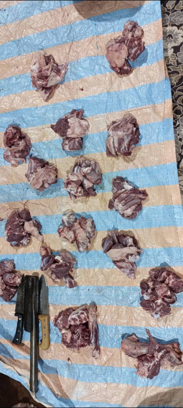 نحر70 «قربانی مشارکتی» 