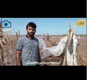 گزارش فعالیت
